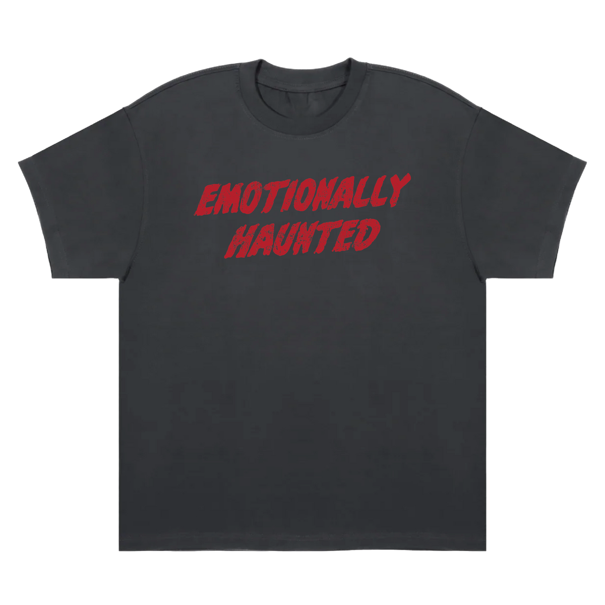Emotionally Haunted Heavyweight T-Shirt